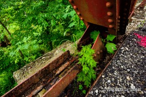 West Fork Tanners Creek Bridge (Formerly Lawrenceburg & Indianapolis Railroad)