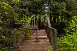 Rexford Falls Pedestrian Bridge