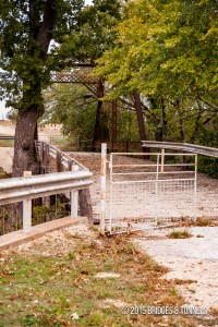 Joppa Road Bridge