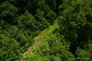 Belva Railroad Bridge