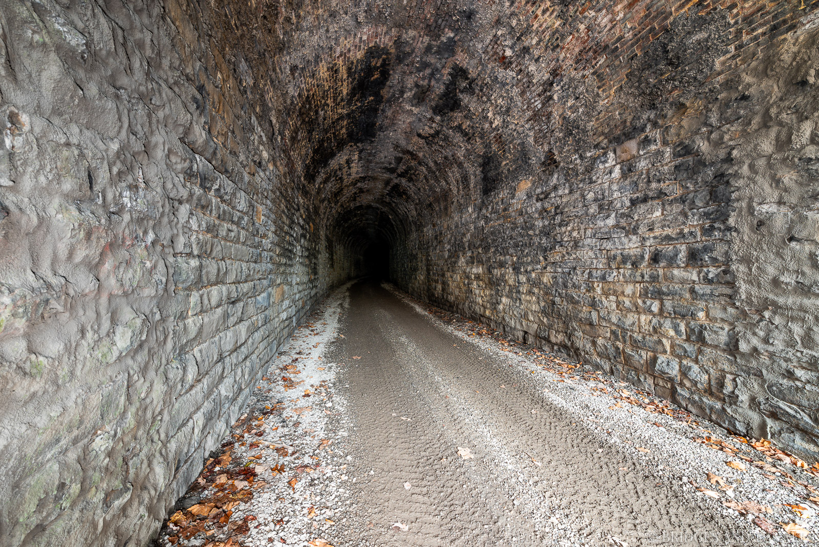 Tunnel No. 7